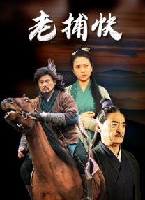 国产成人tv