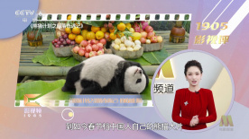 欲女情怀